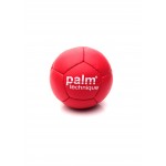 Palm boccia ball set